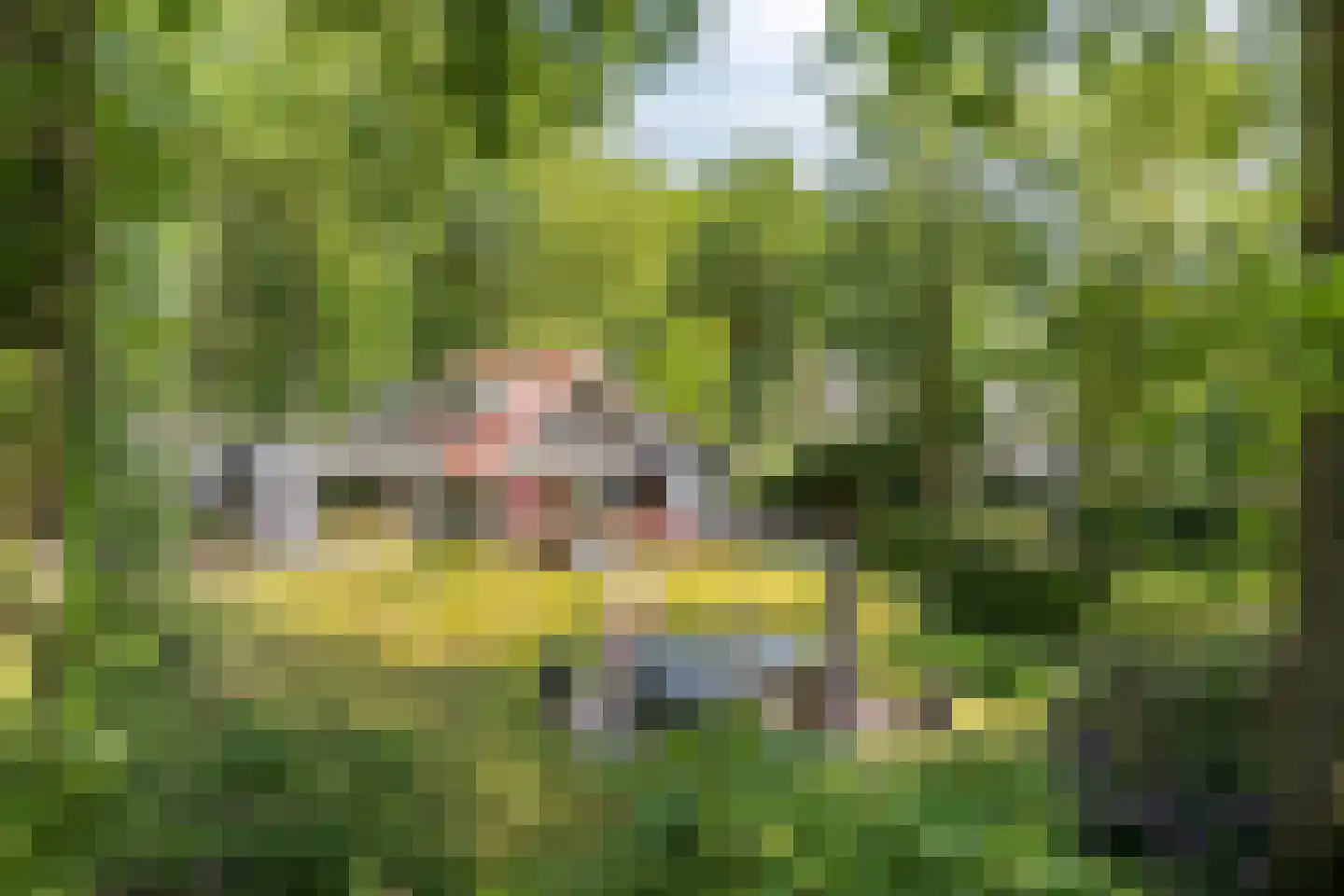 Geranium 90 Vinkel thumbnail 16