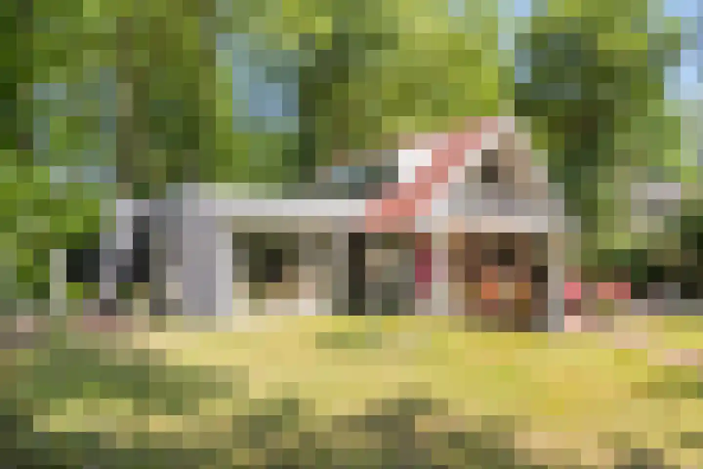 Geranium 90 Vinkel thumbnail 17