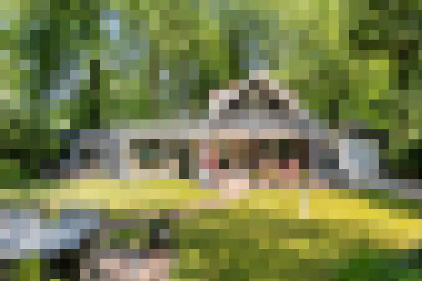 Geranium 90 Vinkel thumbnail 21