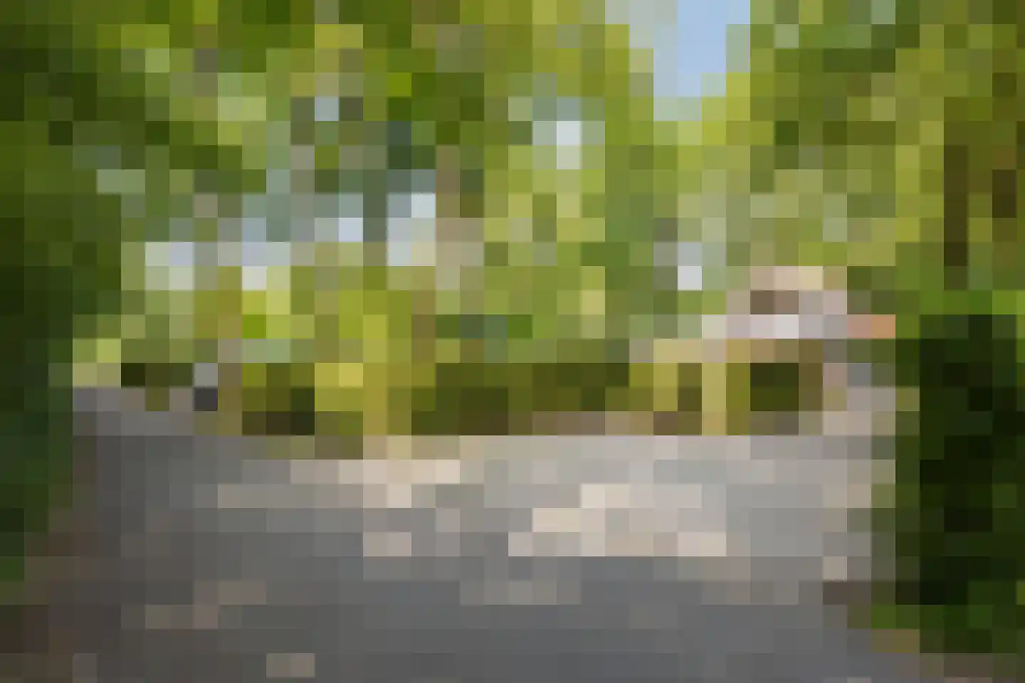 Geranium 90 Vinkel thumbnail 27