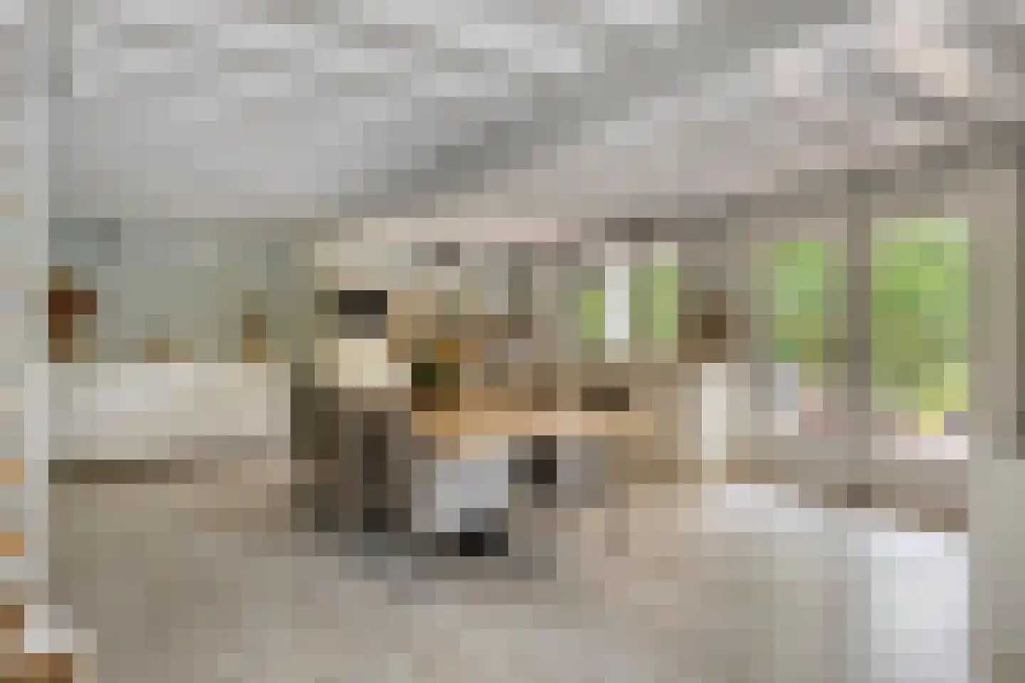 Geranium 90 Vinkel thumbnail 5