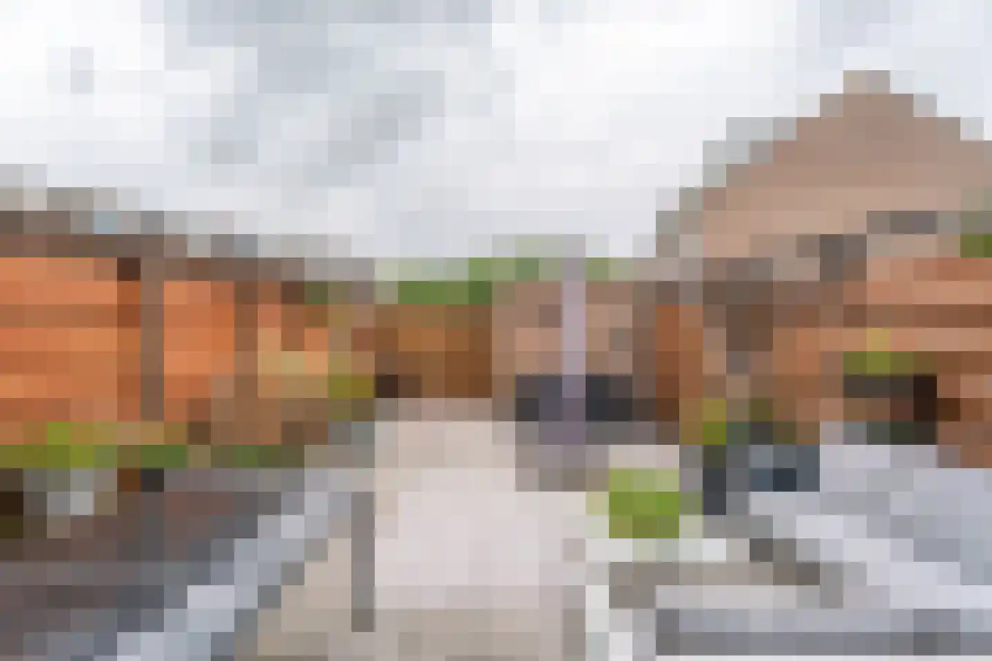Geraniumhof 26 Voorhout thumbnail 26