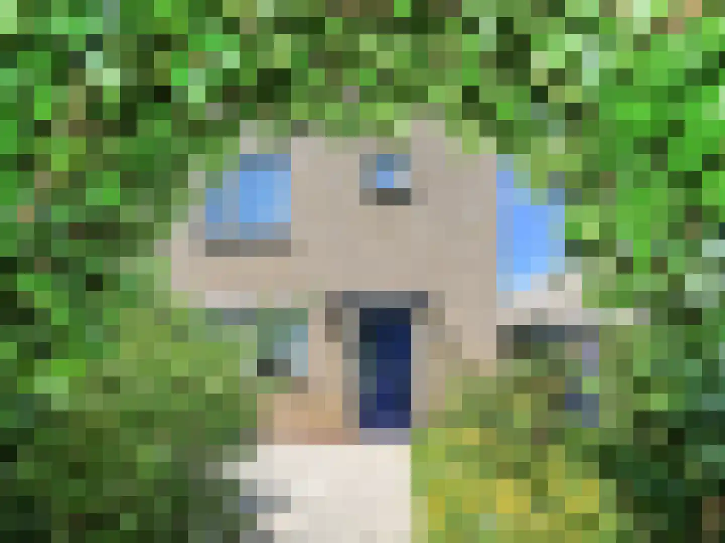 Geraniumlaan 111 Badhoevedorp thumbnail 14