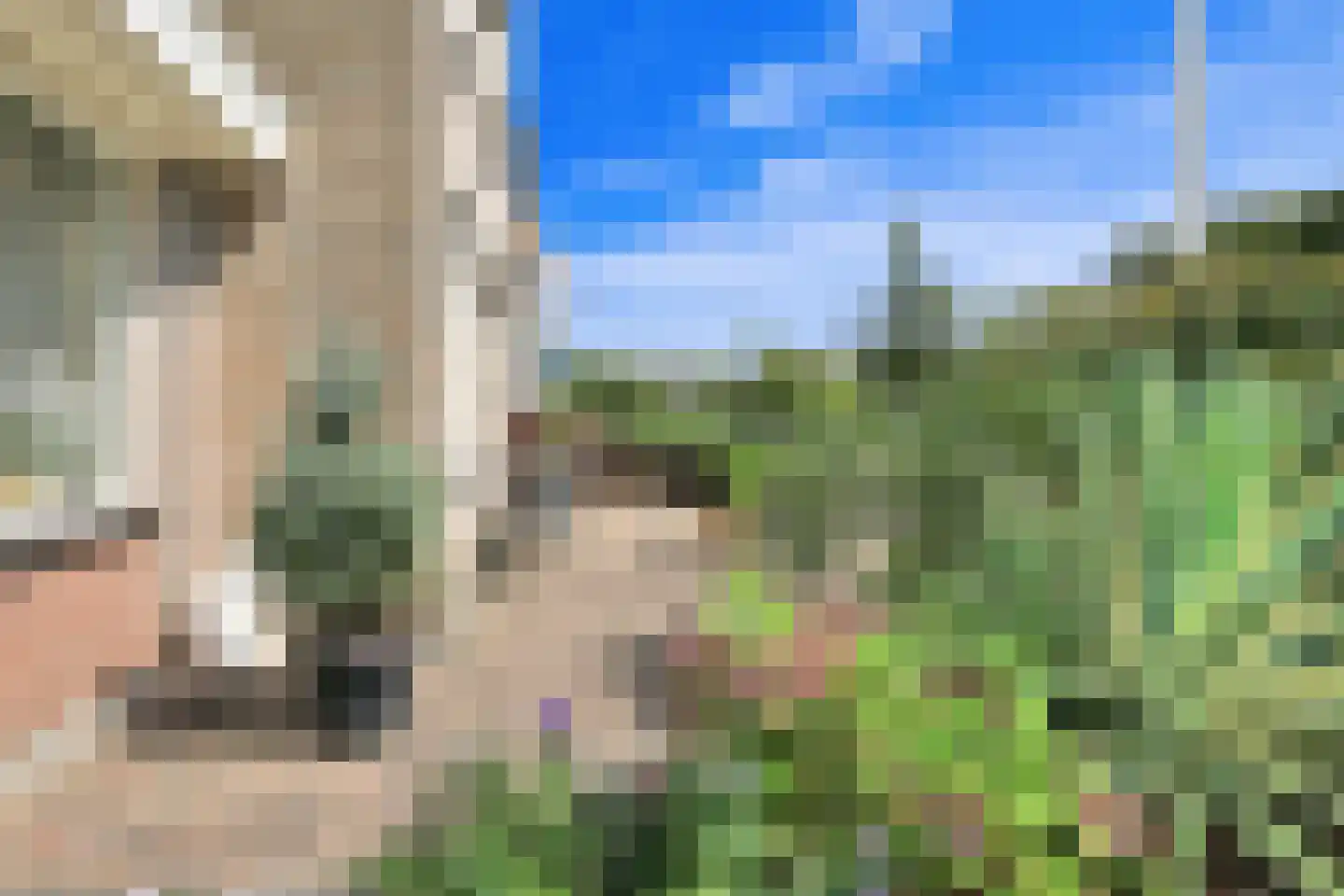 Geraniumlaan 123 Badhoevedorp thumbnail 19