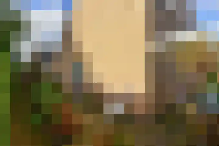 Geraniumlaan 16 Badhoevedorp thumbnail 20