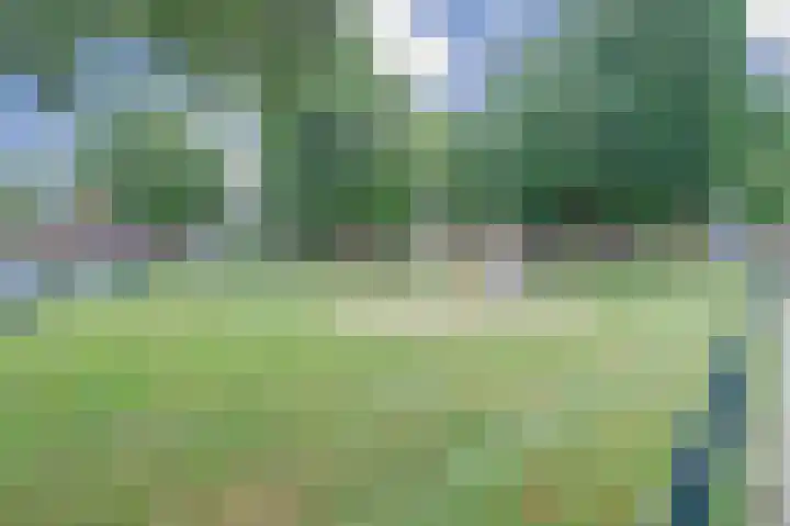 Geraniumlaan 17 Ede thumbnail 34