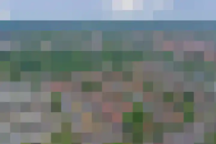 Geraniumlaan 17 Ede thumbnail 36