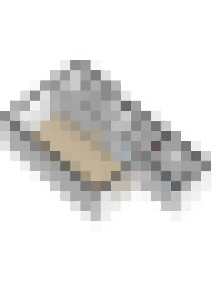 Geraniumlaan 17 Ede thumbnail 39