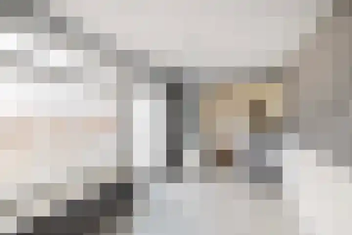 Geraniumlaan 19 Ede thumbnail 12