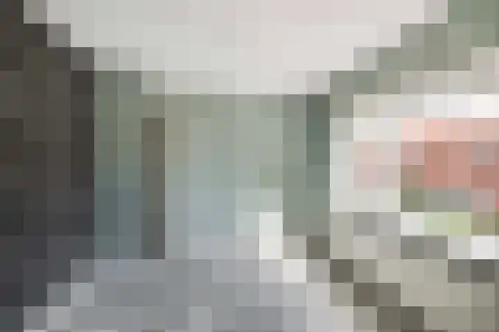 Geraniumlaan 19 Ede thumbnail 17
