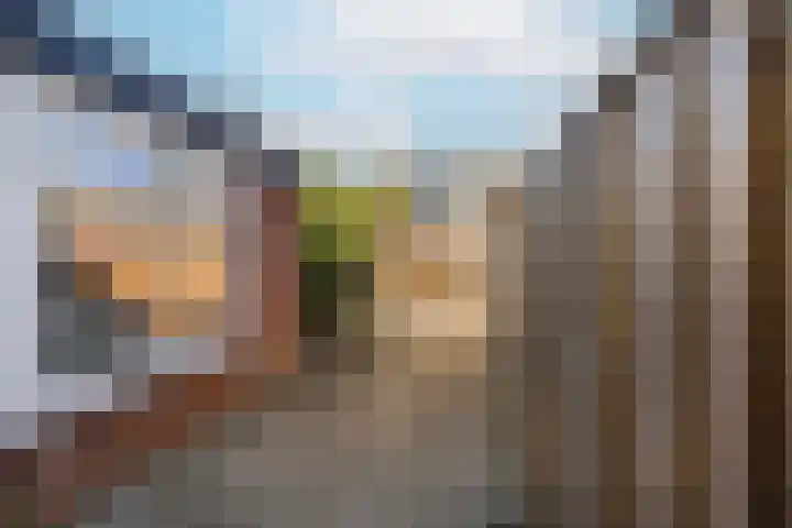 Geraniumlaan 19 Ede thumbnail 22