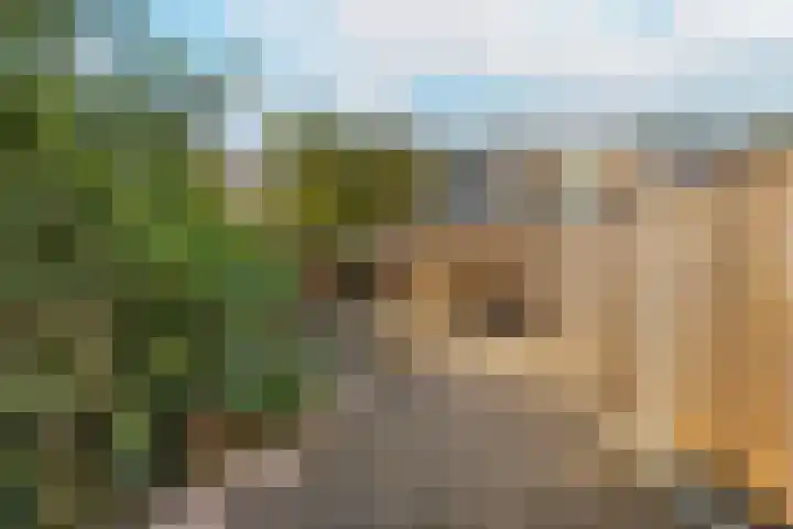 Geraniumlaan 19 Ede thumbnail 23