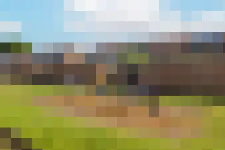 Geraniumlaan 19 Ede thumbnail 31