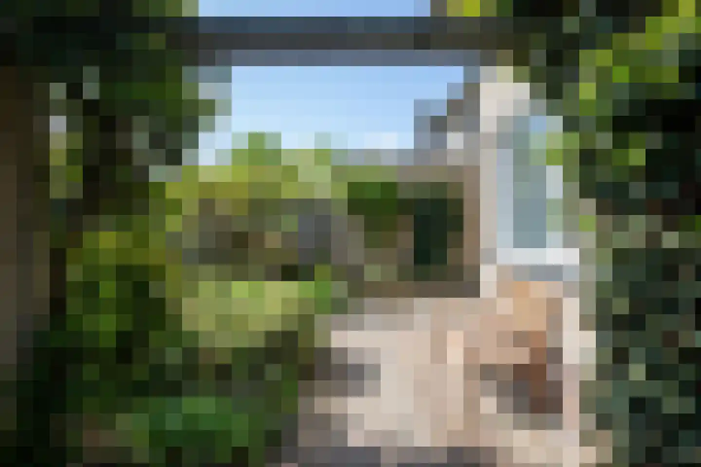 Geraniumlaan 8 Waalre thumbnail 28