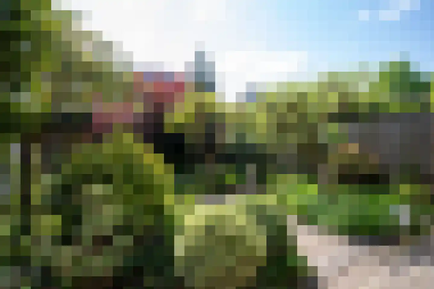 Geraniumlaan 8 Waalre thumbnail 29
