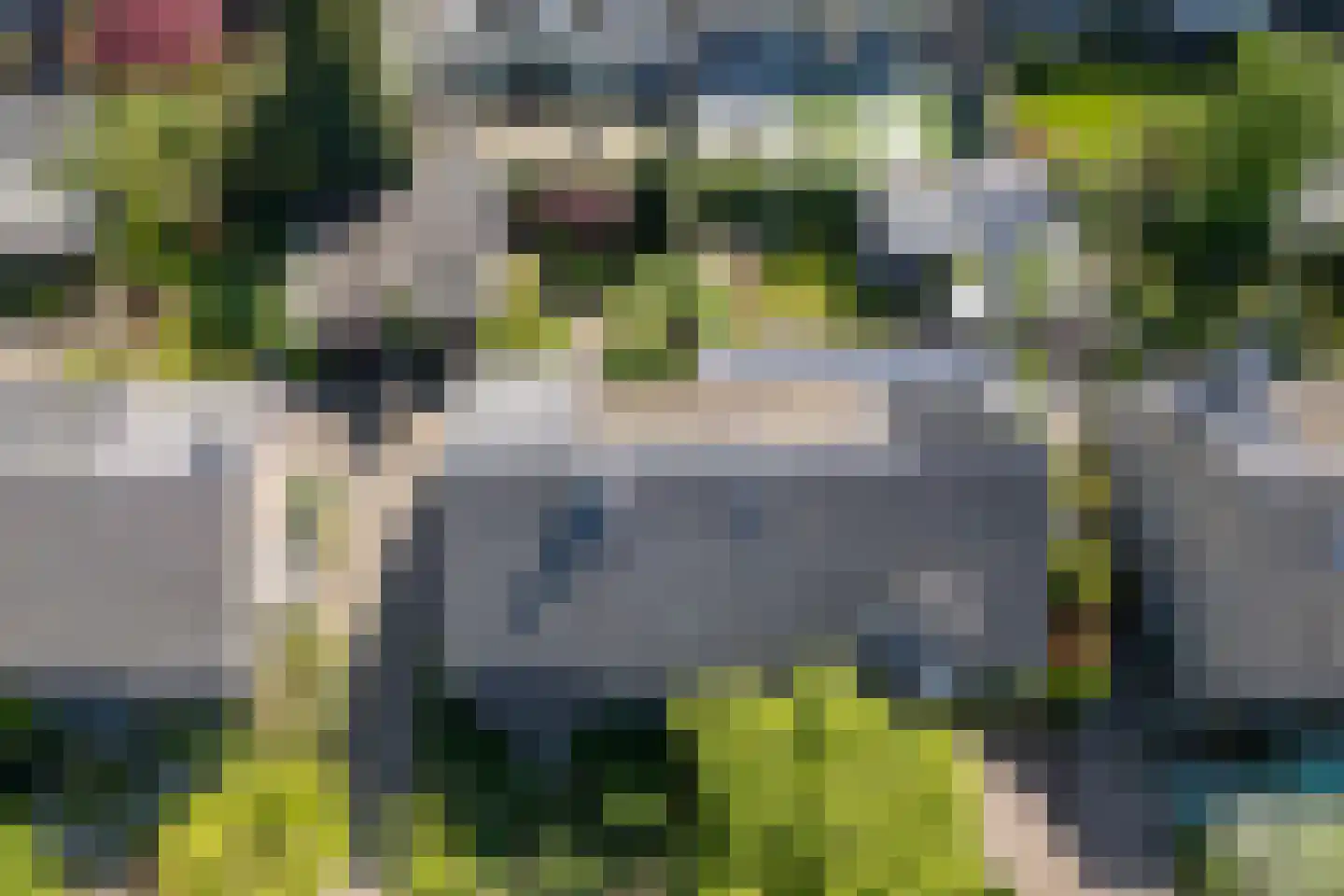 Geraniumlaan 8 Waalre thumbnail 31