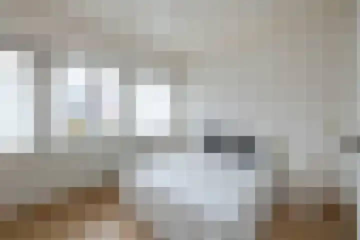 Geraniumstraat 10 Hengelo thumbnail 15