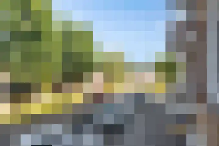 Geraniumstraat 104 Aalsmeer thumbnail 20