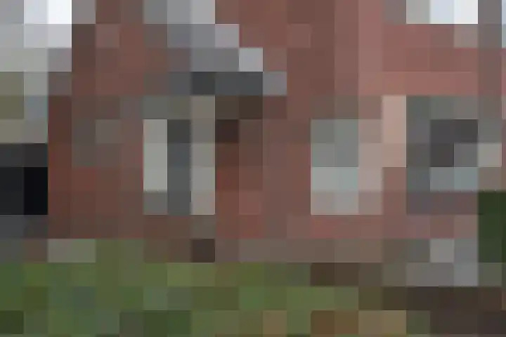 Geraniumstraat 12 Hengelo thumbnail 23