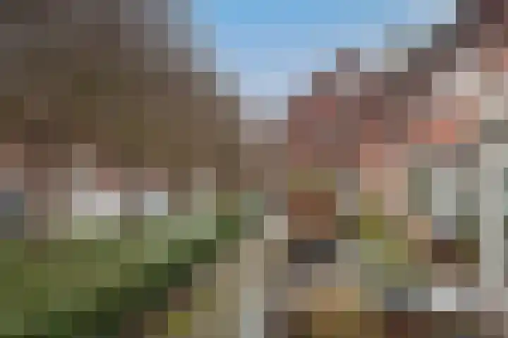 Geraniumstraat 12 Hengelo thumbnail 29