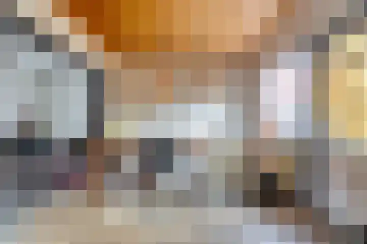 Geraniumstraat 16 Zwolle thumbnail 7