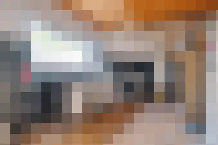 Geraniumstraat 16 Zwolle thumbnail 8