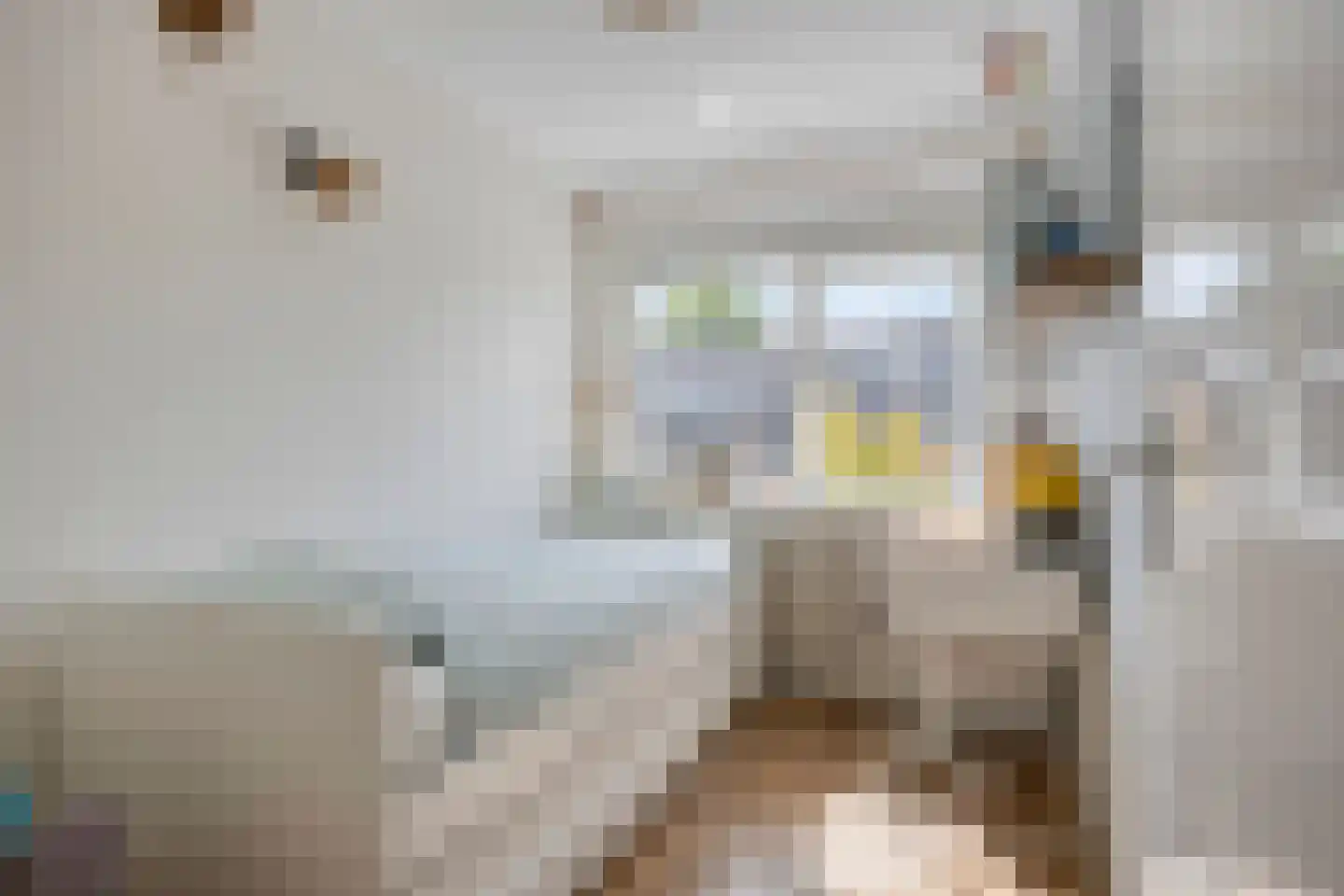 Geraniumstraat 17 Woerden thumbnail 18