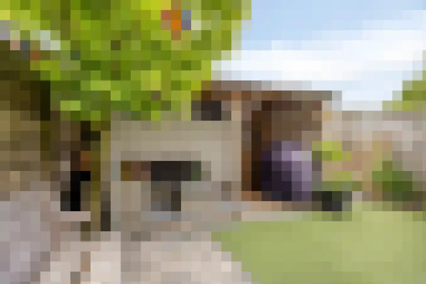 Geraniumstraat 17 Woerden thumbnail 27