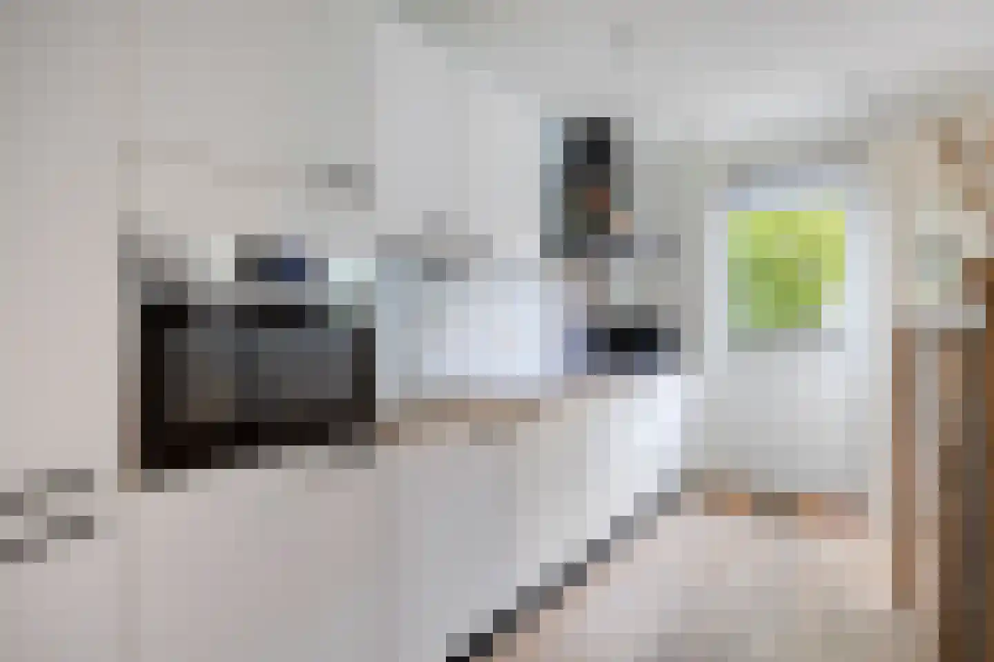 Geraniumstraat 17 Woerden thumbnail 8