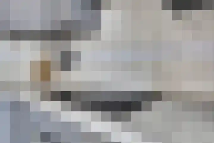Geraniumstraat 18 Spijkenisse thumbnail 4