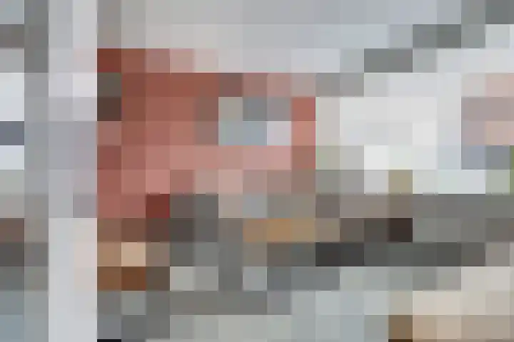 Geraniumstraat 18 Spijkenisse thumbnail 8