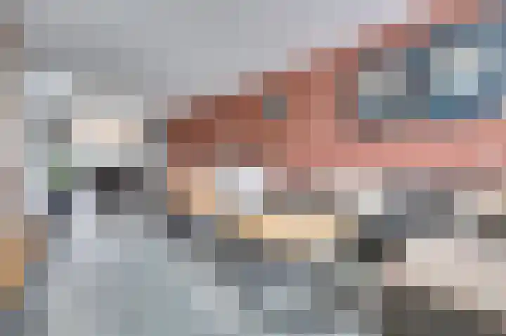 Geraniumstraat 18 Spijkenisse thumbnail 9