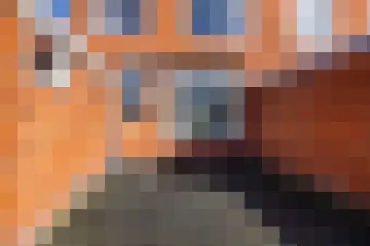 Geraniumstraat 2 Sappemeer thumbnail 30