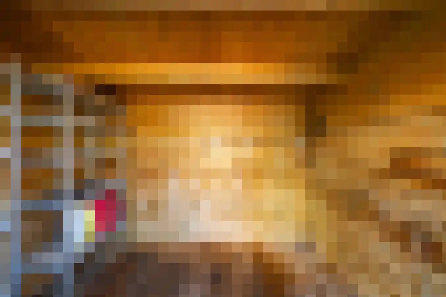 Geraniumstraat 2 Sappemeer thumbnail 33