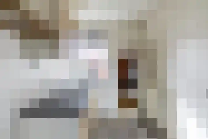 Geraniumstraat 2 Sappemeer thumbnail 8