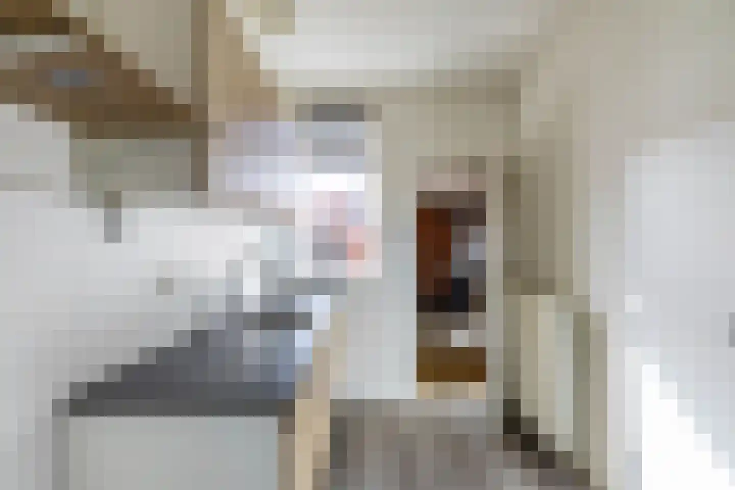 Geraniumstraat 2 Sappemeer thumbnail 8