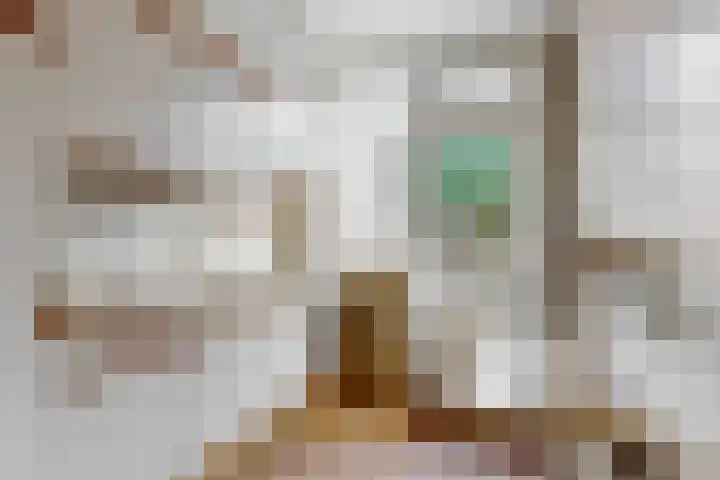 Geraniumstraat 21 Woerden thumbnail 11