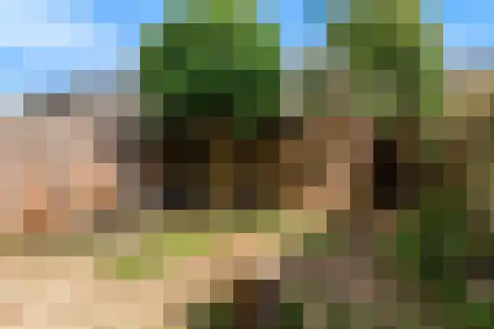 Geraniumstraat 21 Woerden thumbnail 4