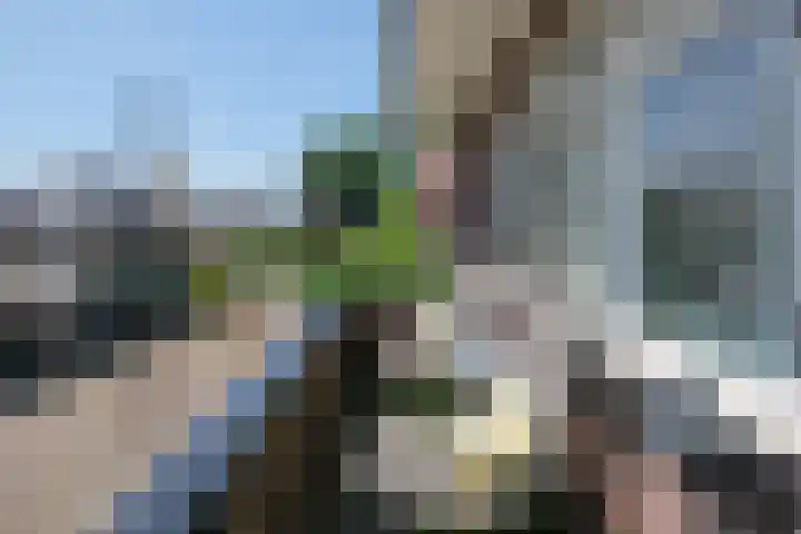 Geraniumstraat 22 Almelo thumbnail 20