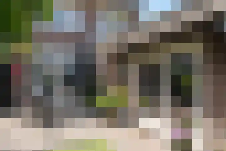 Geraniumstraat 22 Almelo thumbnail 30