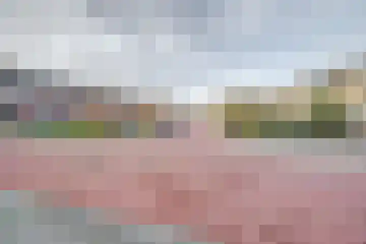 Geraniumstraat 22 Steenbergen thumbnail 8