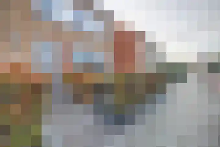 Geraniumstraat 22 Steenbergen thumbnail 9