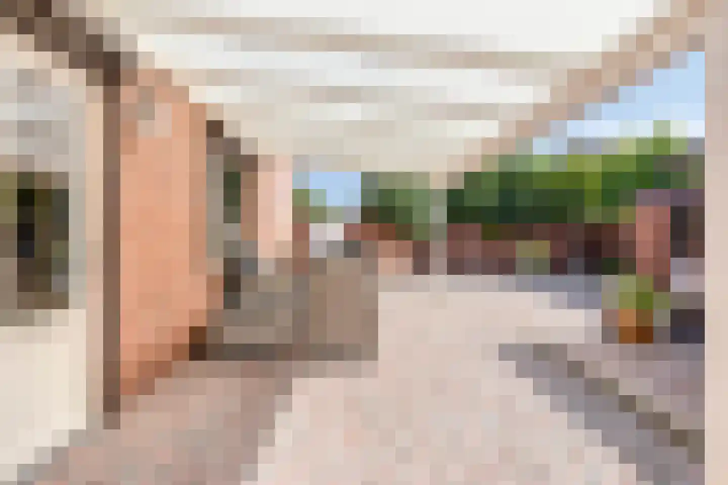 Geraniumstraat 3 St. Willebrord thumbnail 28