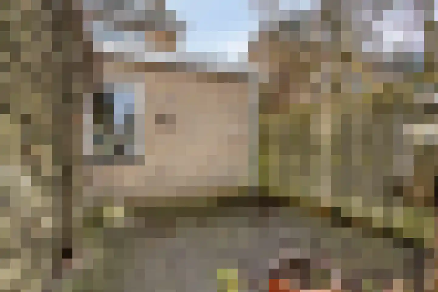 Geraniumstraat 3 Wolvega thumbnail 21