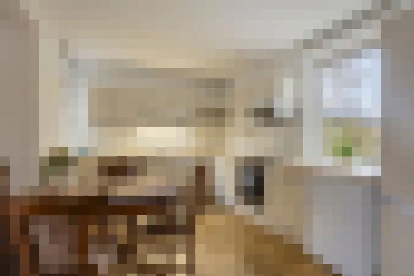 Geraniumstraat 3 Wolvega thumbnail 4