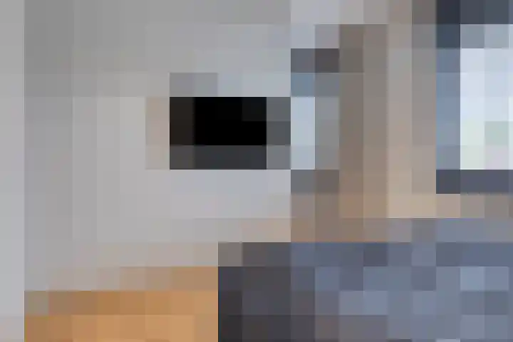 Geraniumstraat 36 B Made thumbnail 30