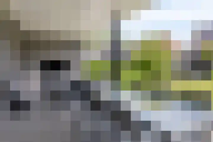 Geraniumstraat 36 B Made thumbnail 48