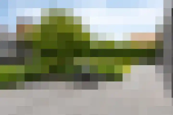 Geraniumstraat 36 B Made thumbnail 49
