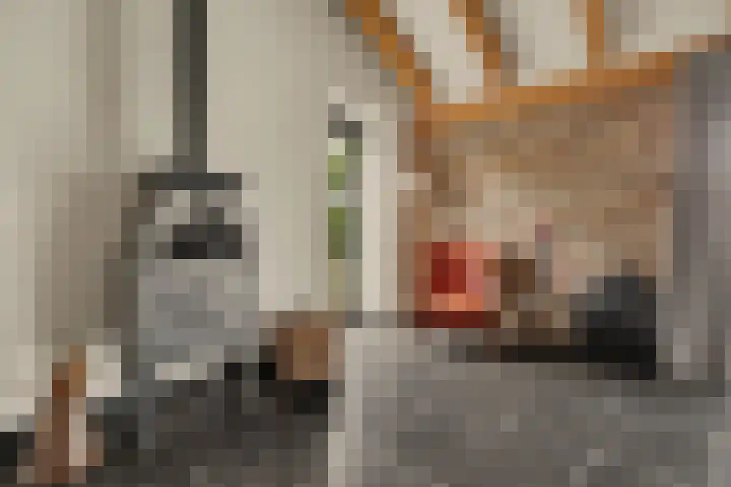 Geraniumstraat 42 Made thumbnail 10