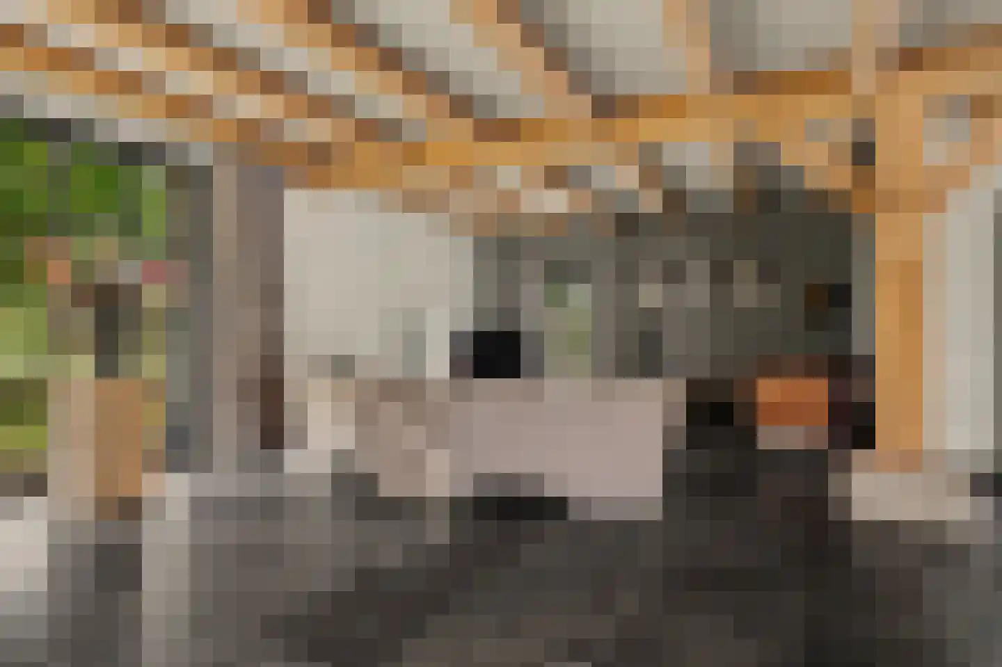 Geraniumstraat 42 Made thumbnail 15